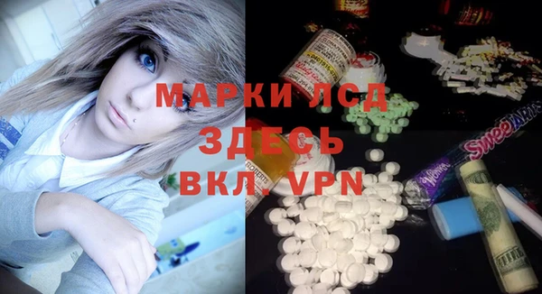 стаф Алексин