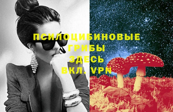 стаф Алексин