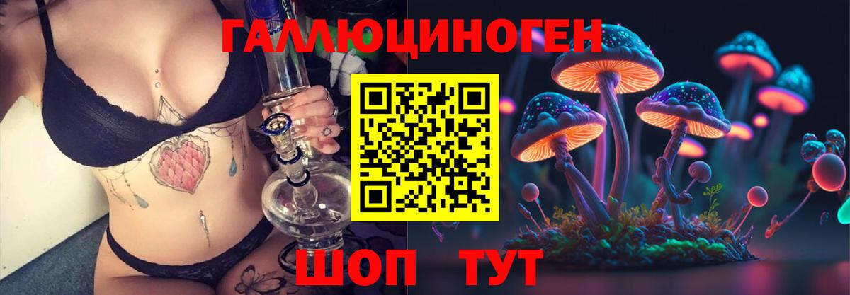 Нефтекумск  Псилоцибиновые грибы Psilocybine cubensis  Вход с VPN 